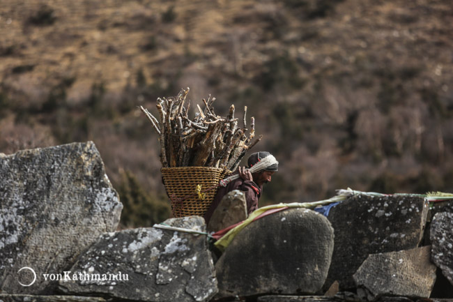 A local carrying firewood in Samdo