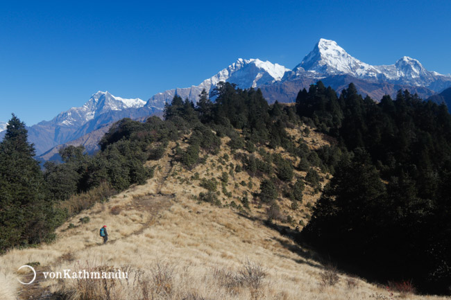 Annapurna is straight ahead and Dhaulagiri on the left when you walk down the ridge from Mohare
