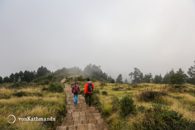 Steps leading down to Ghorepani from Poon Hill