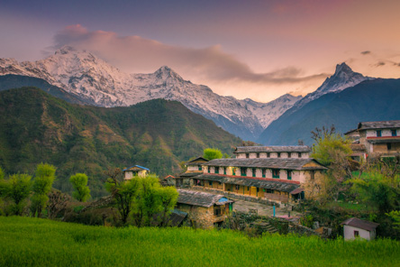 Annapurna Foothills Comfort Trek and Chitwan Safari