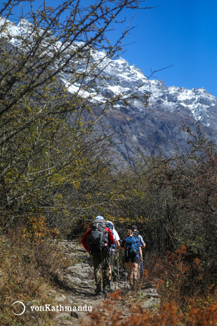 langtang valley trek