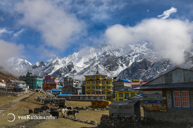 langtang valley trek