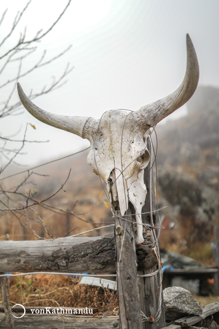 langtang valley trek