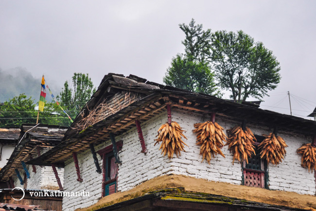 Maize left for drying on a traditional Gurung house