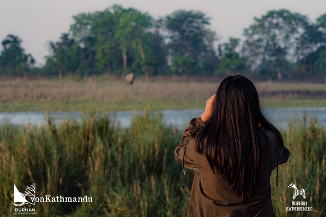 Spotting an elephant on a community forest walk