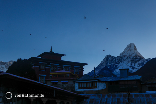 Birds in flight over Tengboche Monastery and Ama Dablam