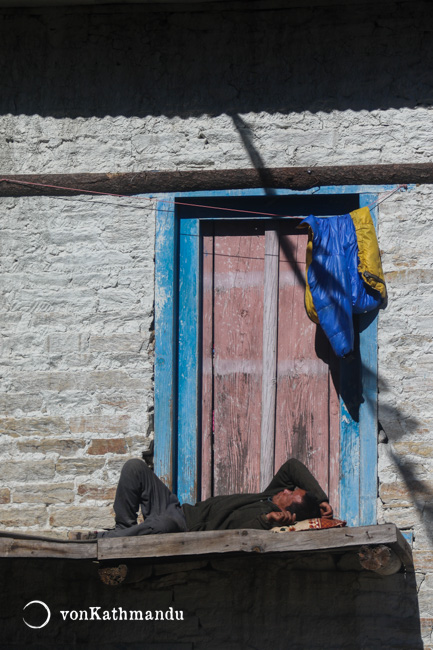 Basking lazily under the winter sun