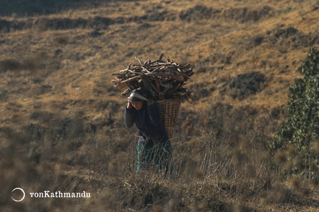 Firewood is the primary fuel in this region, still mostly inaccessible by roads