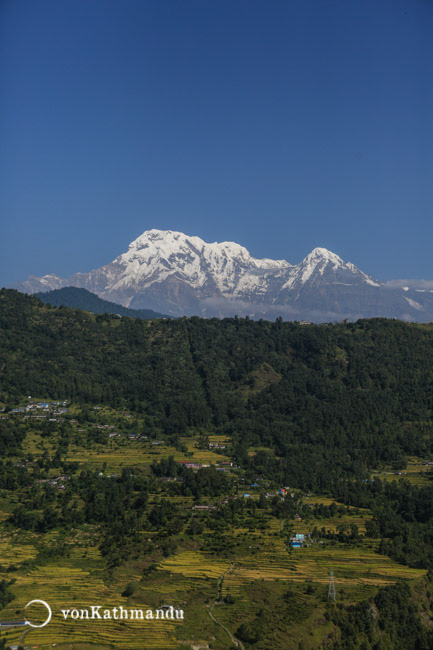 Green forests transition into snowclad mountains, seen from Naudaanda