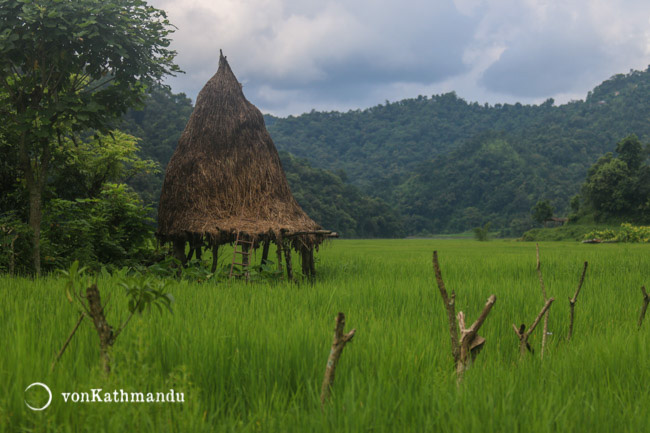 Peaceful corners of Rupa Lake