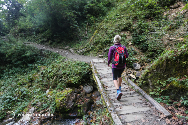 Crossing one of many creeks between Tadapani and Ghandruk