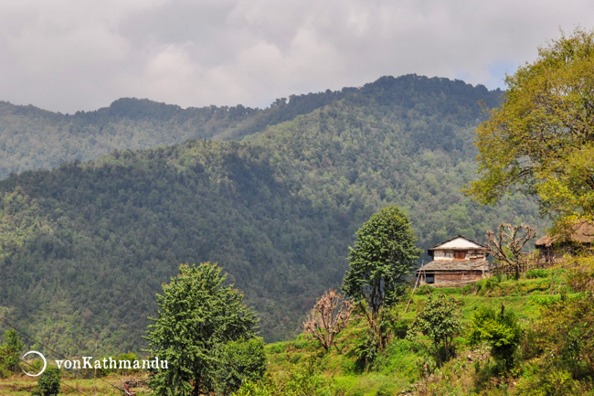 Traditional house near Ghandruk