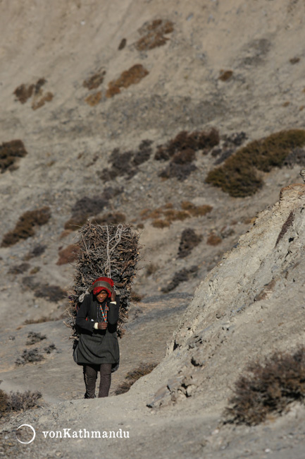 A woman gathers twigs and branches in Chharkabhot