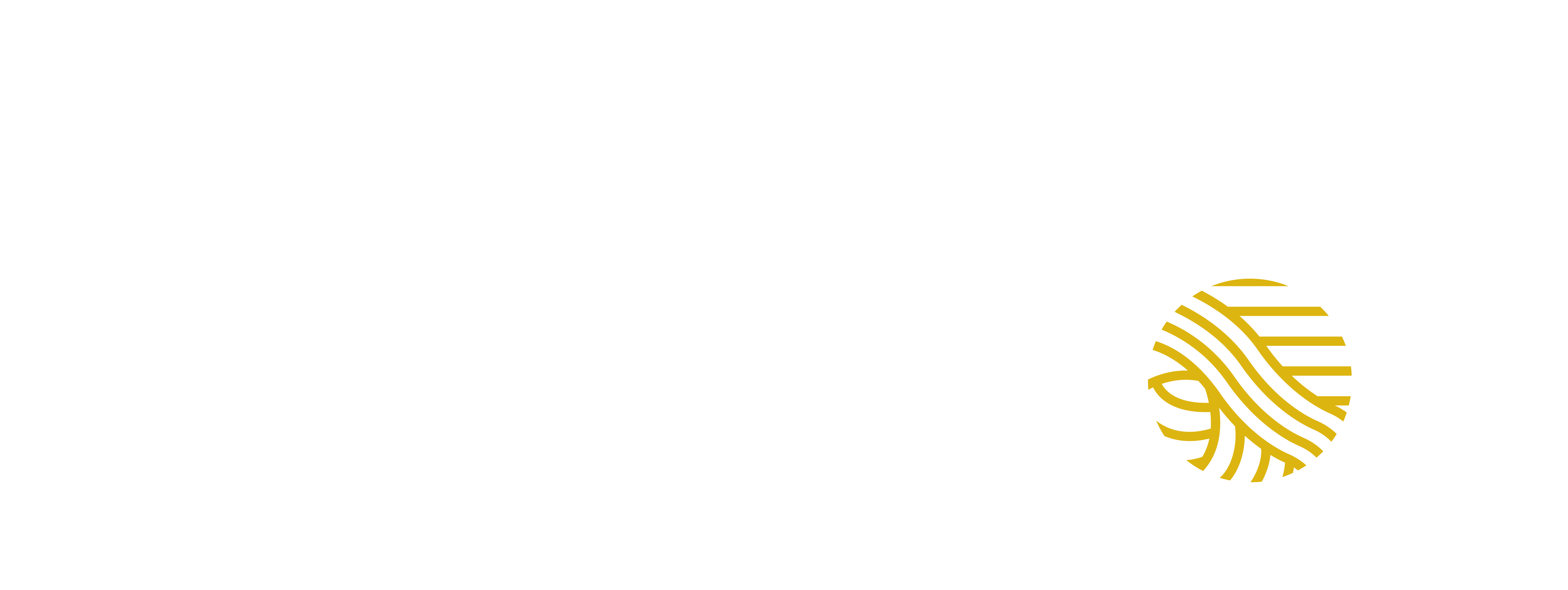 Logo White and Color