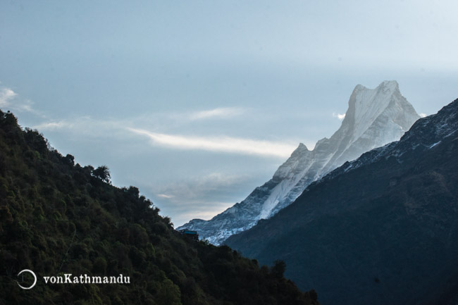 The classic double peak of Machhapuchare seen from Sinuwa