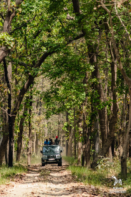 Tourists on a jeep safari inside Bardia National Park