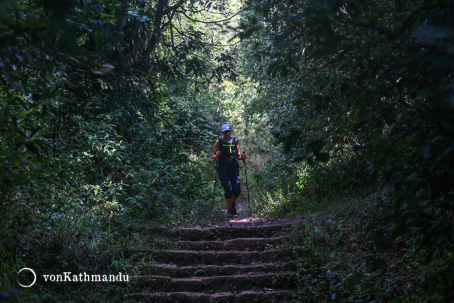 Fantastic trails under a thick canopy of lush forests in Shivapuri National Park