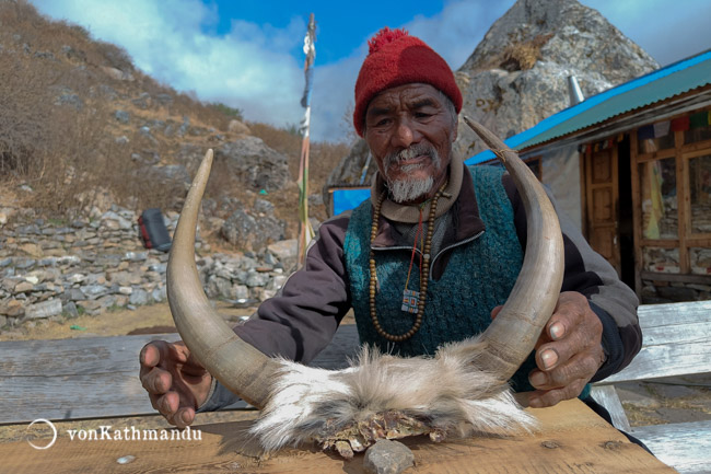 An old local yak herder, also a tea seller, in a tiny settlement before Langtang village showing yak horns