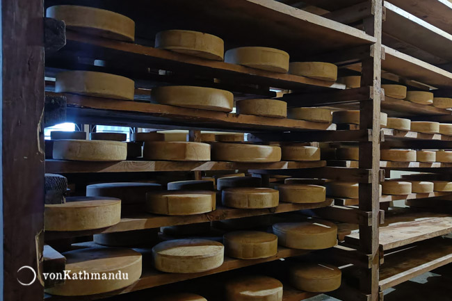 Cheese wheels made of yak milk stocked in a local cheese factory in Kyanjin Gompa