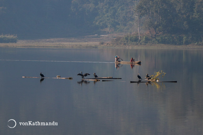 Migratory birds cormorants bask in the sun as fishermen boat by