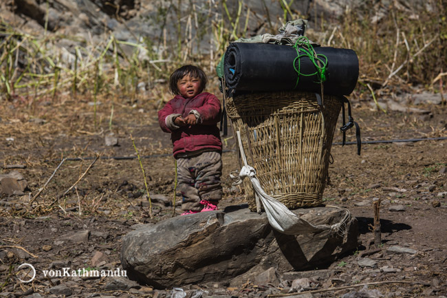 A tiny Dolpo kid is as big as a doko, traditional bamboo basket
