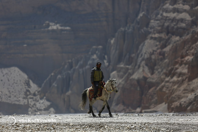 Horses are a common commute option in Mustang