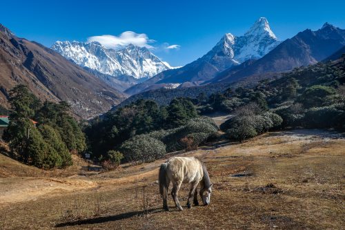 Everest Base Camp Comfort Trek