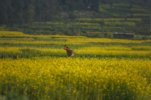 Khokana and Bungamati Toribari Hike