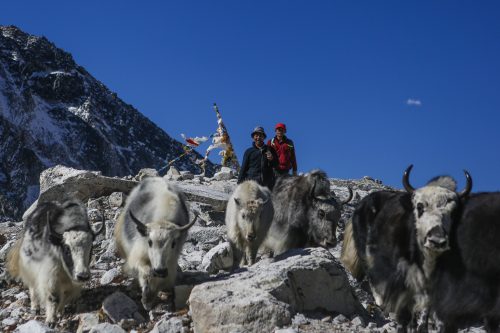 Manaslu Circuit and Tsum Valley Trek